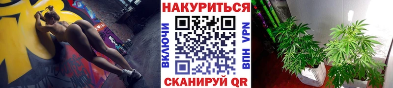 Наркотические вещества Анива Галлюциногенные грибы  МАРИХУАНА  APVP  Меф  Гашиш 