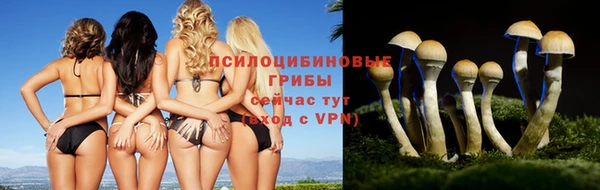 винт Алексеевка