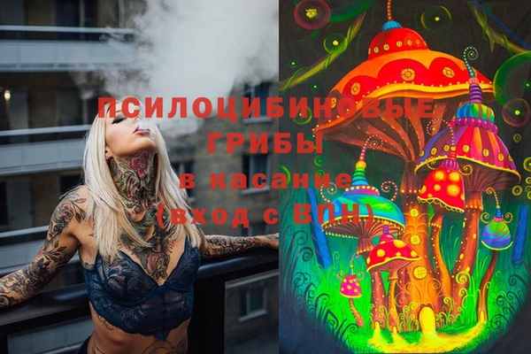 винт Алексеевка