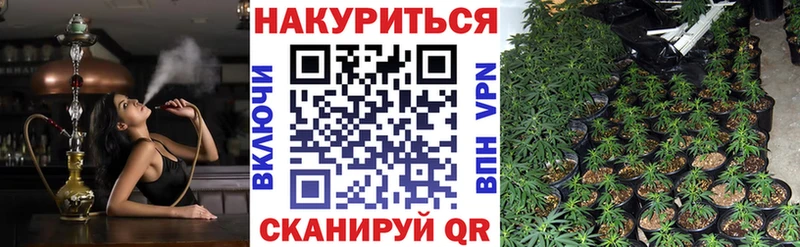 Конопля OG Kush  KRAKEN ТОР  Анива 